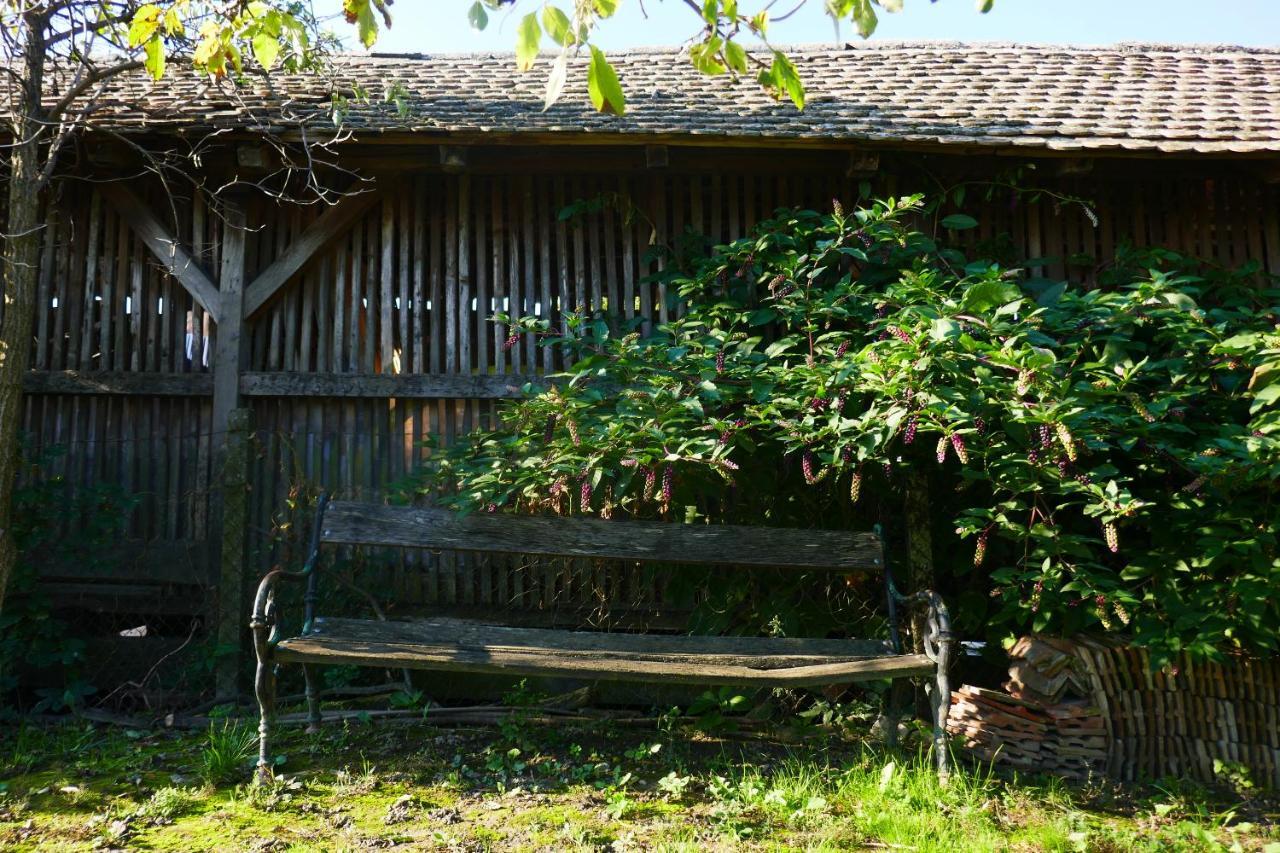 House Of Lovra Apartman Hercegszöllős Kültér fotó